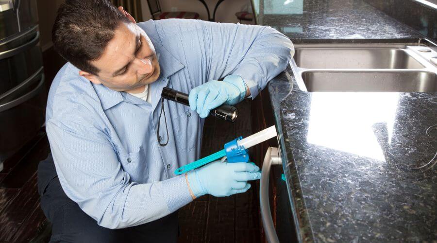 Professional pest control services services in Virginia